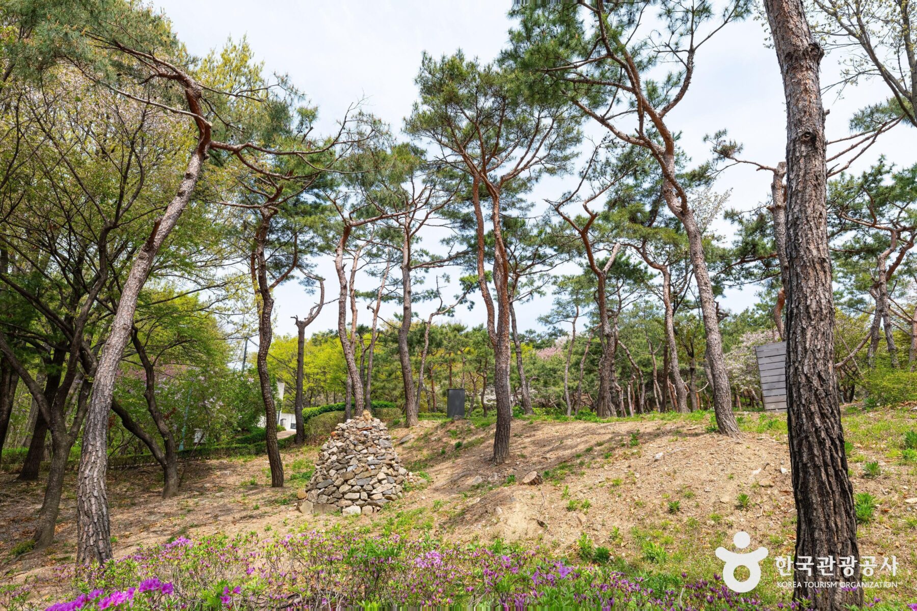 남산야외식물원