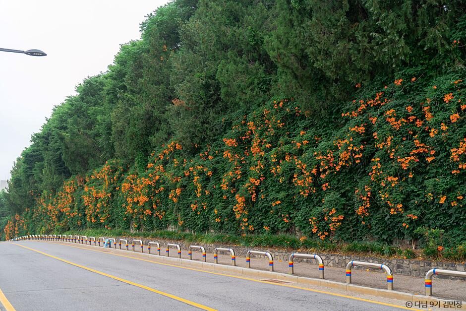 城南希望臺公園
