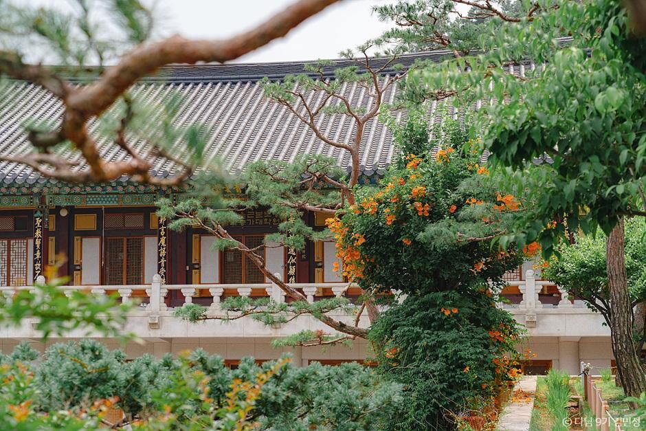 韓國夏季賞花景點